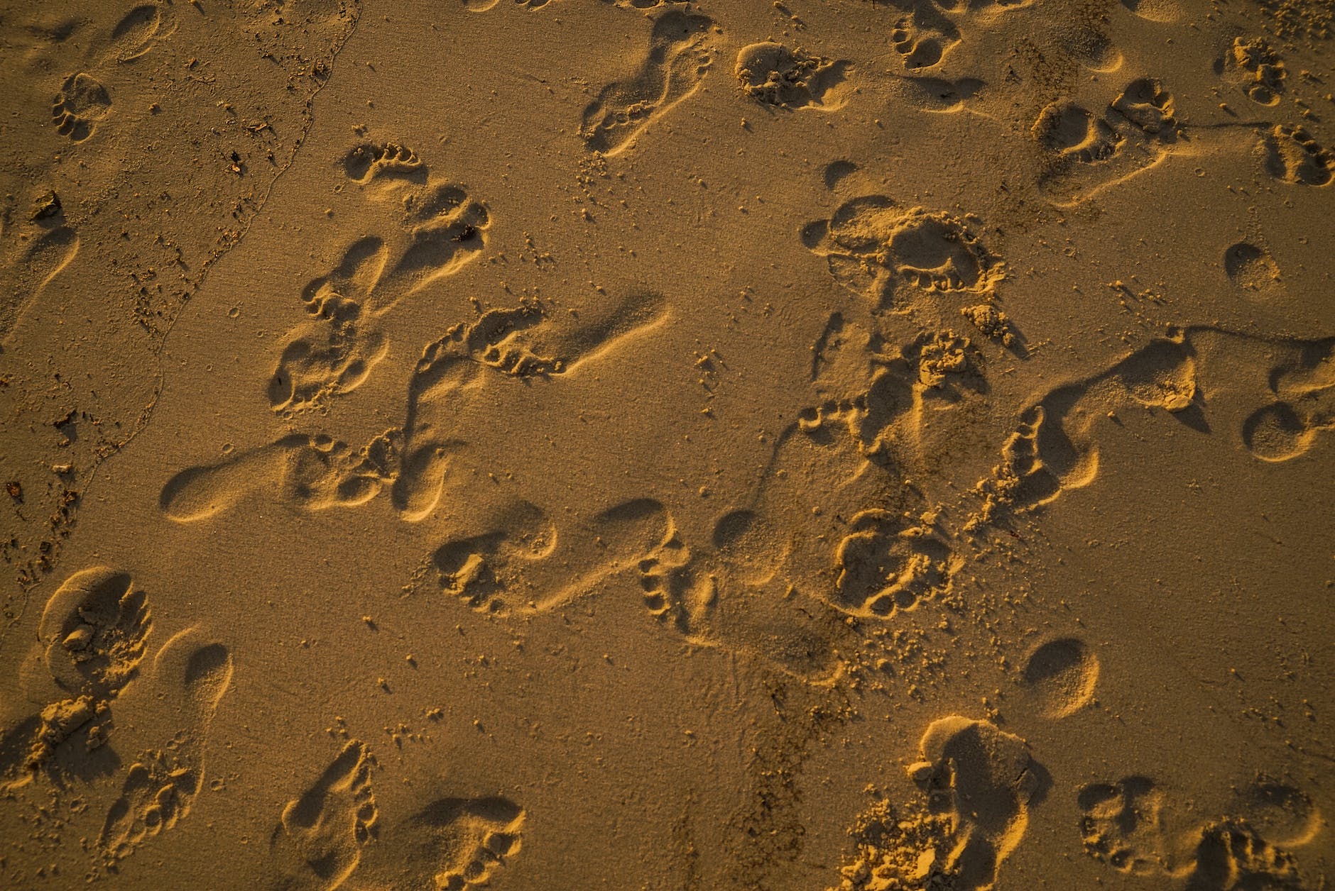 photo of footprints on sand